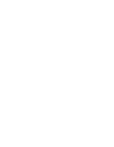 Origin Immigration Law